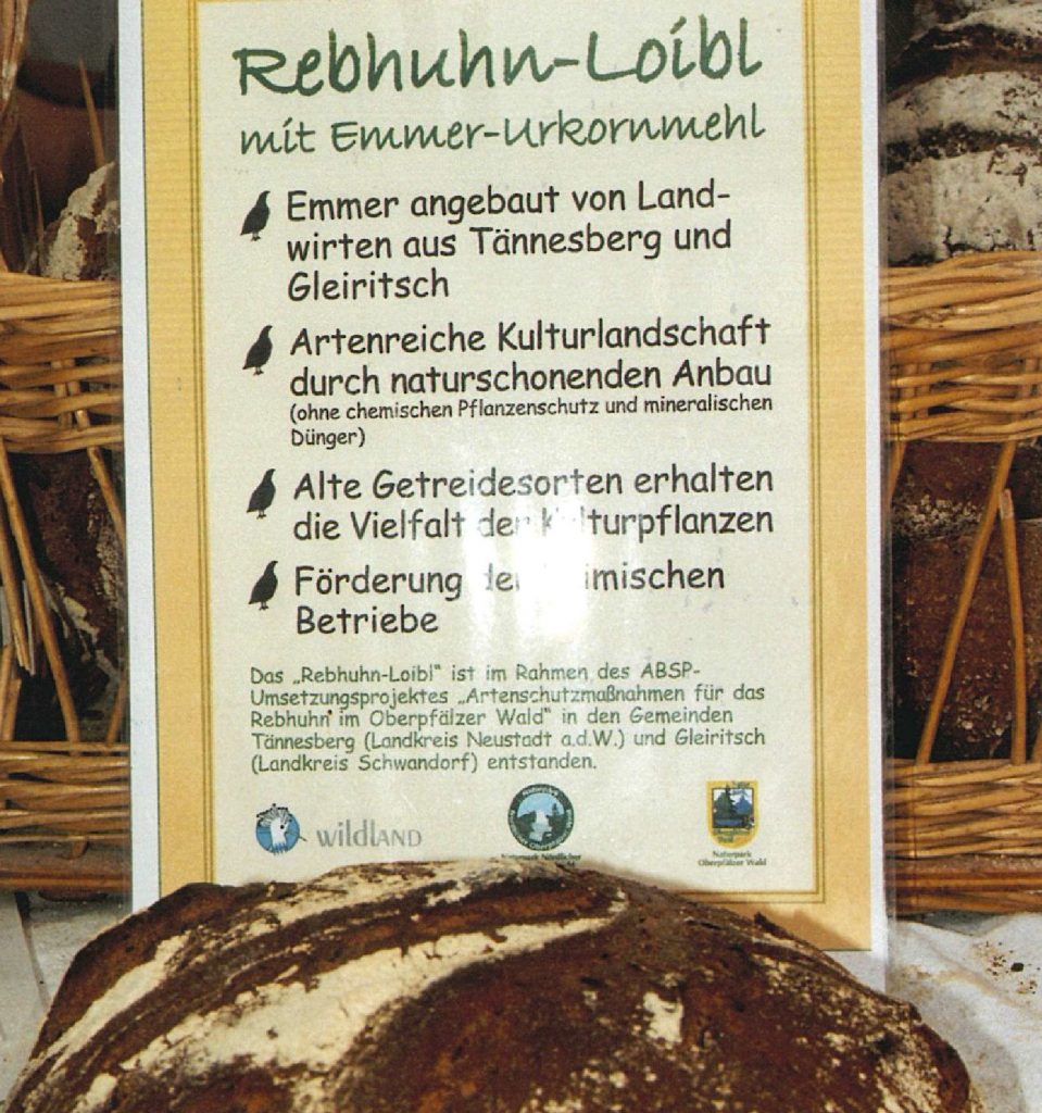Rebhuhn-Loibl
