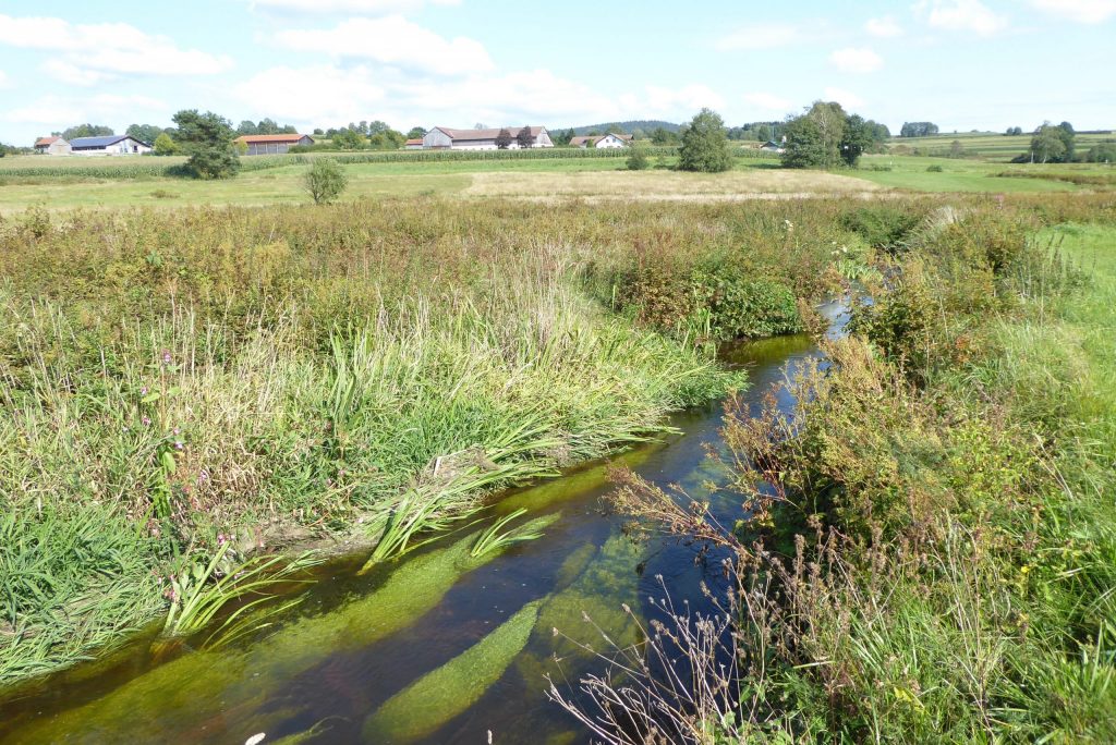 neue Biotopfläche - Ufergrundstück an der Ascha©Wildland-Stiftung Bayern